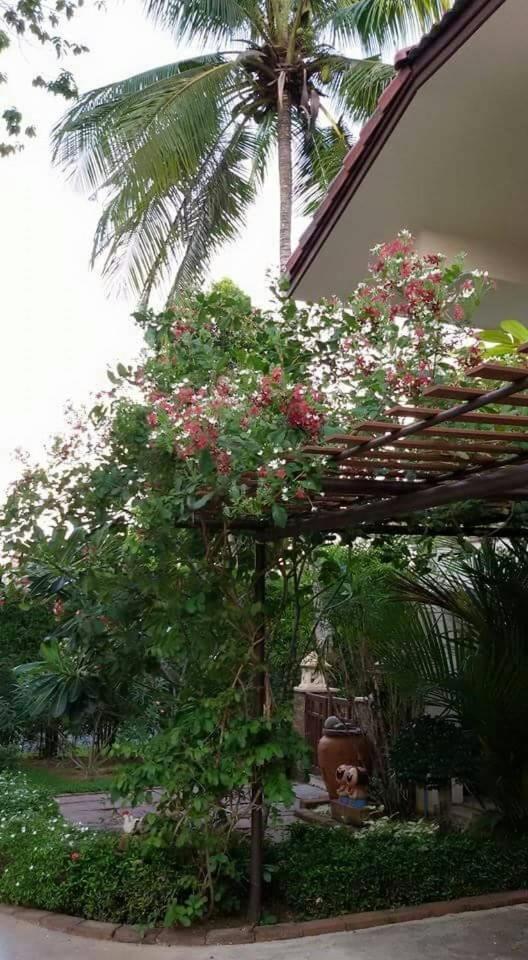 Periwinkle Villa Koh Chang Ngoại thất bức ảnh